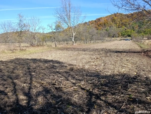 teren de vanzare langa domnesti arges - imagine 4