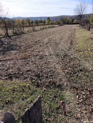 teren de vanzare langa domnesti arges - imagine 8