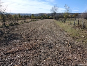 teren de vanzare langa domnesti arges - imagine 6