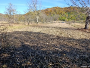 teren de vanzare langa domnesti arges - imagine 7