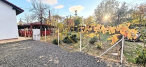 Apartament 2 camere de inchiriat curte, foișor,grădină – zona Shopping City