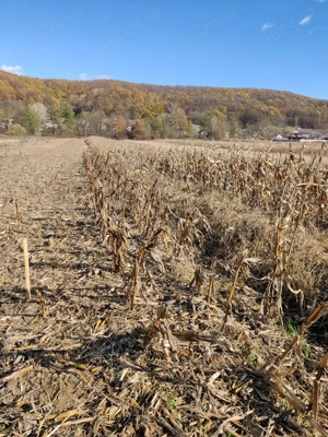 Vand ieftin teren extravilan Draganu-Arges