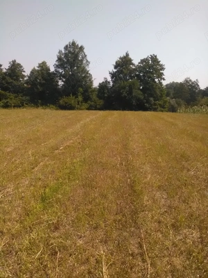 Vand 5000 mp teren intravilan+ Casa vacanta in Pitesti zona BIG-Bascov - imagine 5