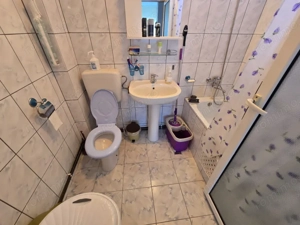 Proprietate formată din 2 Case+Teren, Ciocănăi - imagine 14