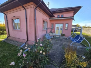 Proprietate formată din 2 Case+Teren, Ciocănăi - imagine 3