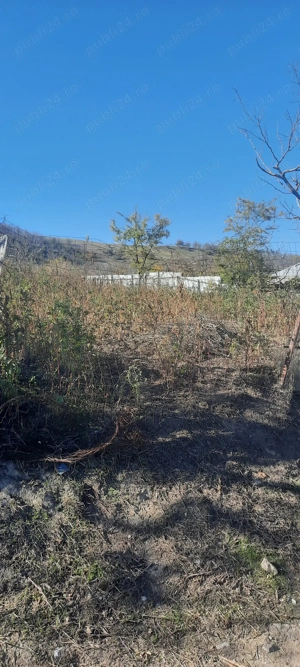 Teren Ijdileni- Galați  - imagine 2