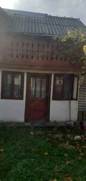 Casa cu curte mare și vie pe spalieri - imagine 3