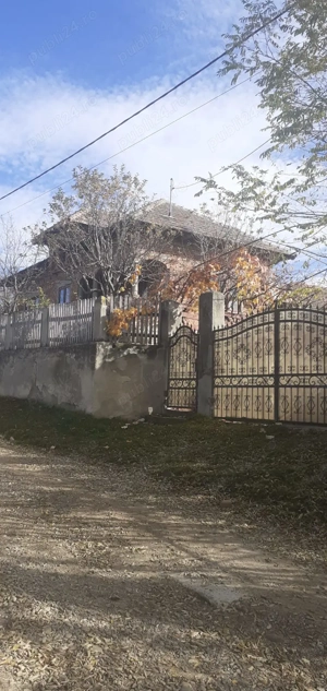 Casa cu curte mare și vie pe spalieri - imagine 2