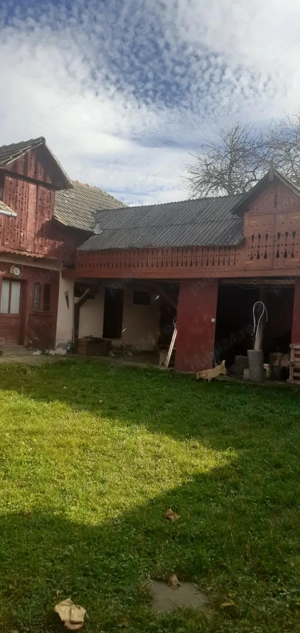 Casa cu curte mare și vie pe spalieri - imagine 4