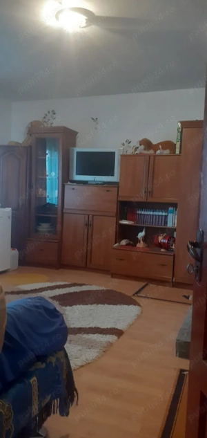 Casa cu curte mare și vie pe spalieri - imagine 5