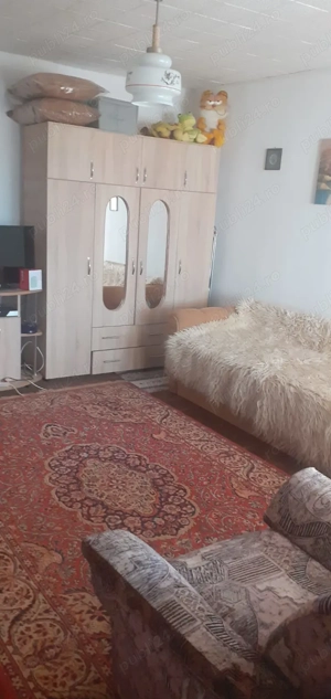 Casa cu curte mare și vie pe spalieri - imagine 6