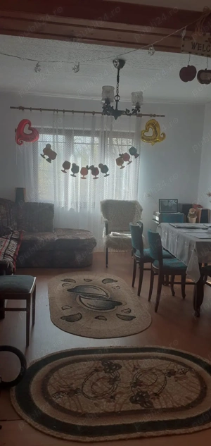 Casa cu curte mare și vie pe spalieri - imagine 8