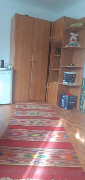 Casa cu curte mare și vie pe spalieri - imagine 7