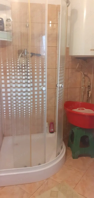 Casa cu curte mare și vie pe spalieri - imagine 10