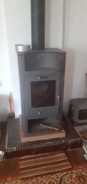 Casa cu curte mare și vie pe spalieri - imagine 9