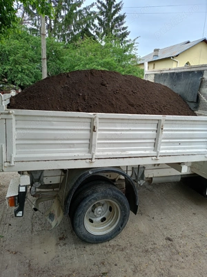 Ford transit 2.5 td - imagine 7