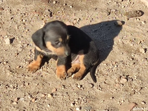 Se ofera spre vanzare