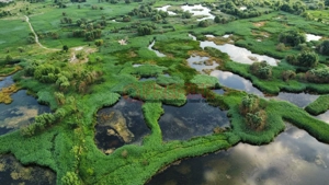 Delta Vacaresti 3 camere decomandat Lux Piata Sudului - imagine 11