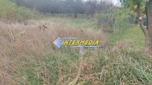 Teren Intravilan de vanzare 1000 mp Oarda - imagine 3