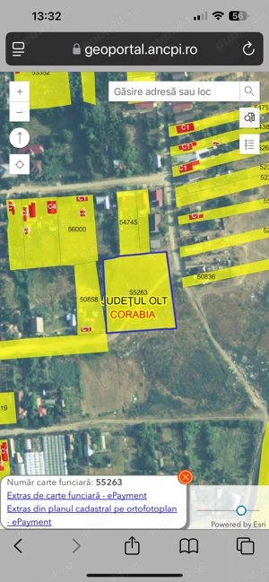 Vând teren intravilan 5200 mp Corabia Olt str Ștefan cel Mare - imagine 3