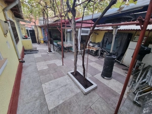 Viile noi-casa la sol cu garaj - imagine 9