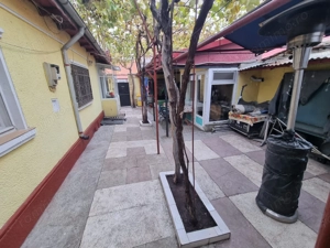 Viile noi-casa la sol cu garaj - imagine 4