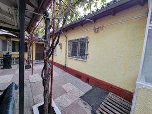 Viile noi-casa la sol cu garaj - imagine 8