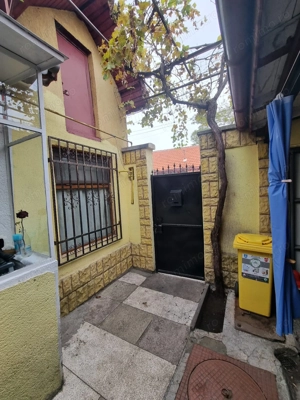 Viile noi-casa la sol cu garaj - imagine 18