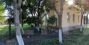 Casa de vanzare Checea 220mp - imagine 3