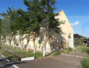 Casa de vanzare Checea 220mp - imagine 2