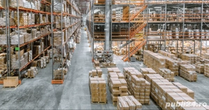 manipulant marfa  manipulator