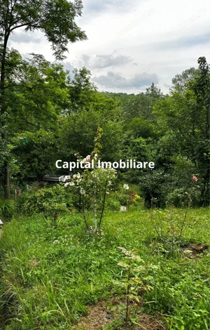 Casa Baicoi 95 mp Sc, 2578 mp teren - imagine 5