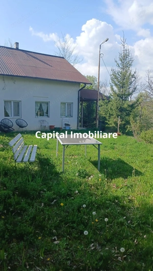 Casa Baicoi 95 mp Sc, 2578 mp teren - imagine 2