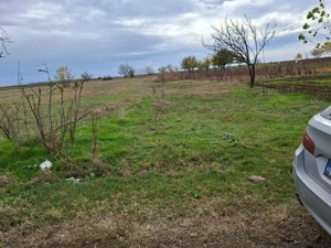 Proprietar, vând teren 2000 mp la strada cu asfalt - imagine 2