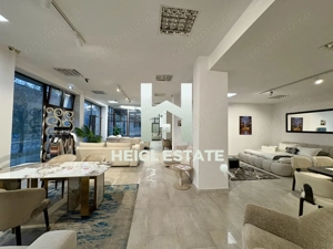 Spatiu comercial in zona Sagului - imagine 9