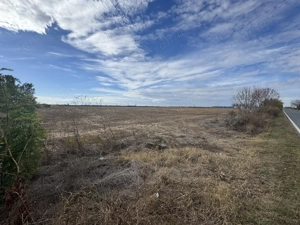 Vand Teren Extravilan Biled(zona industriala) 25.000mp,F.S la DN6 - imagine 4