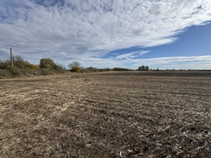 Vand Teren Extravilan Biled(zona industriala) 25.000mp,F.S la DN6 - imagine 5