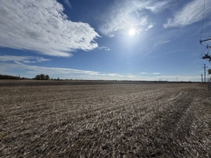 Vand Teren Extravilan Biled(zona industriala) 25.000mp,F.S la DN6 - imagine 2