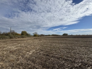 Vand Teren Extravilan Biled(zona industriala) 25.000mp,F.S la DN6 - imagine 3