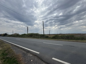 Vand Teren Extravilan Biled(zona industriala) 25.000mp,F.S la DN6