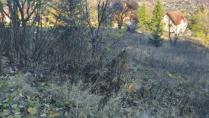 Teren intravilan -Predeal-Paraul Rece - imagine 2