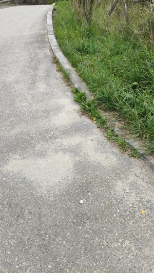 Teren intravilan -Predeal-Paraul Rece - imagine 3