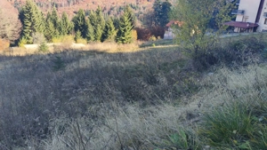 Teren intravilan -Predeal-Paraul Rece - imagine 4