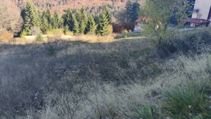 Teren intravilan -Predeal-Paraul Rece - imagine 8