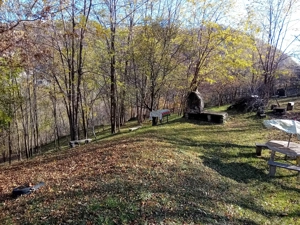 Teren de vânzare Brebu - imagine 5