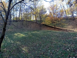 Teren de vânzare Brebu - imagine 3