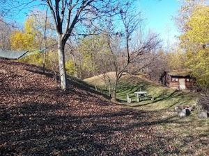 Teren de vânzare Brebu - imagine 7