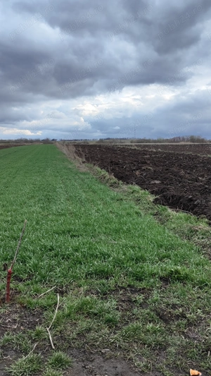 Teren Horodnic de Jos