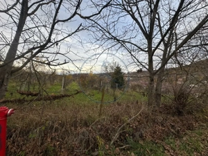 Teren intravilan 3.000 mp, 2 fronturi, Valea Jelnei - imagine 3