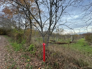 Teren intravilan 3.000 mp, 2 fronturi, Valea Jelnei - imagine 2